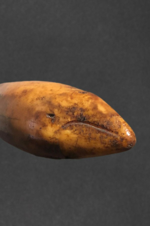 baleine74 4 600×900 2