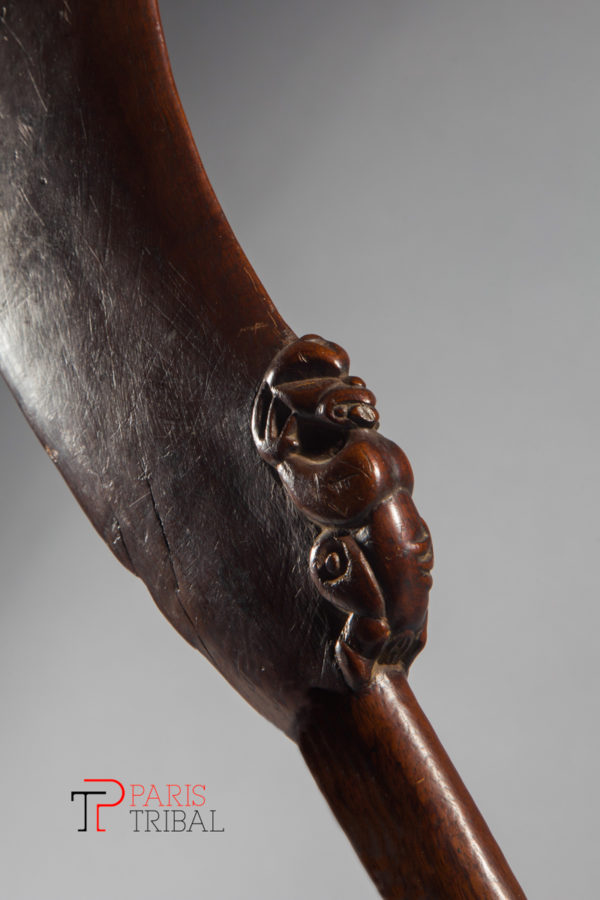 flak jan 2019 061 1 modifier