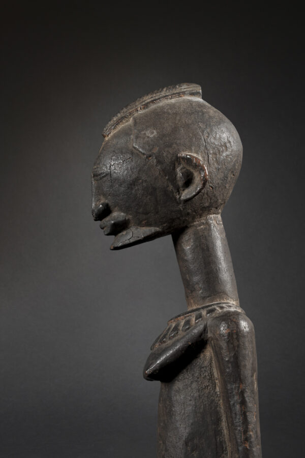 dogon