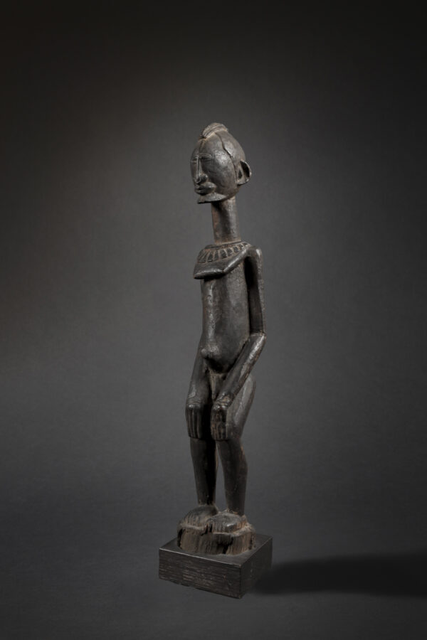 dogon