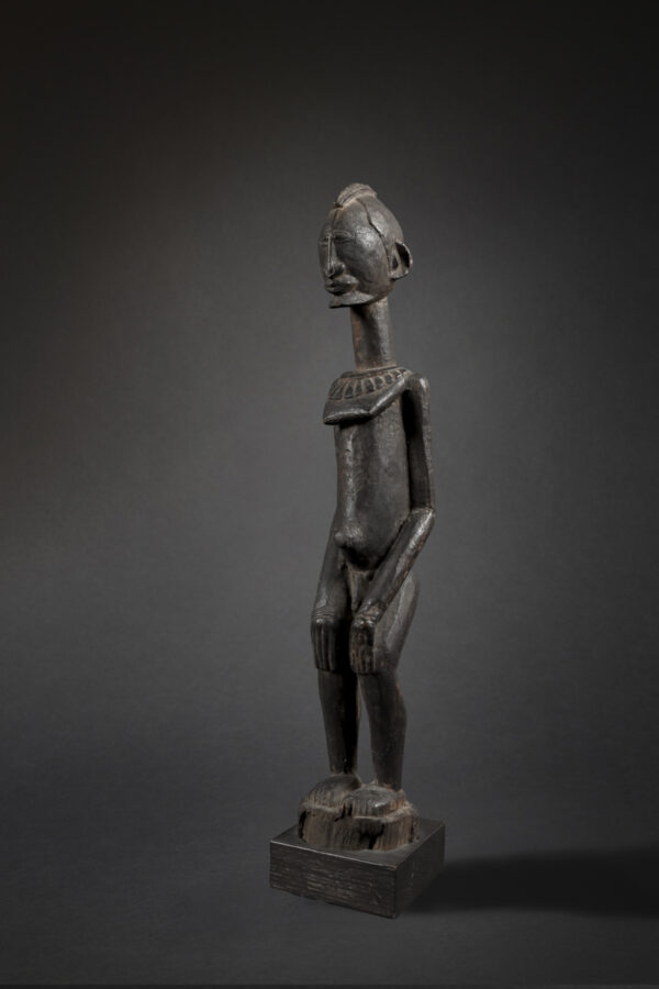 dogon