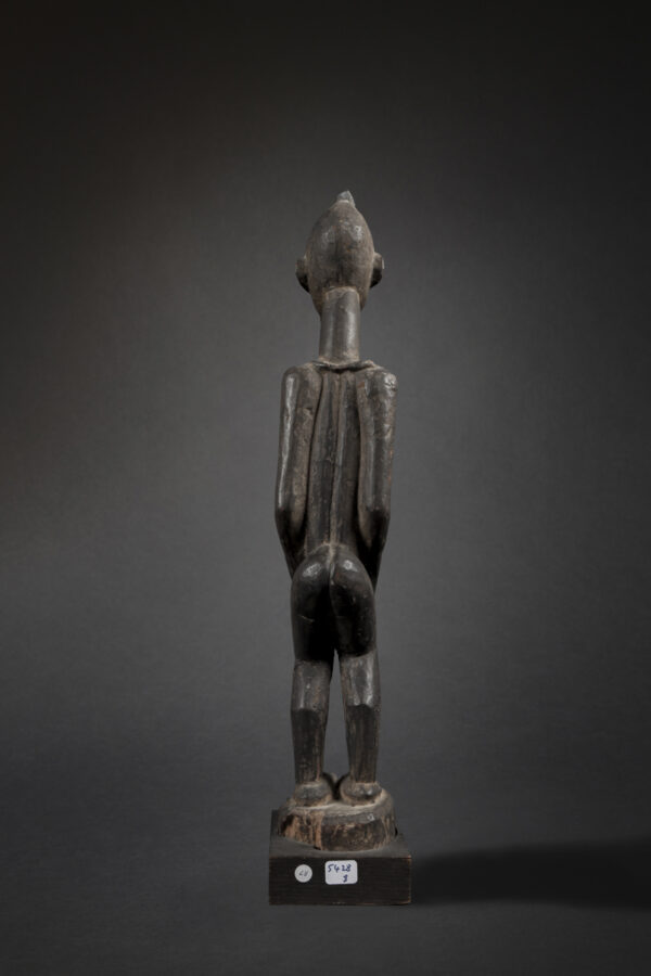 dogon