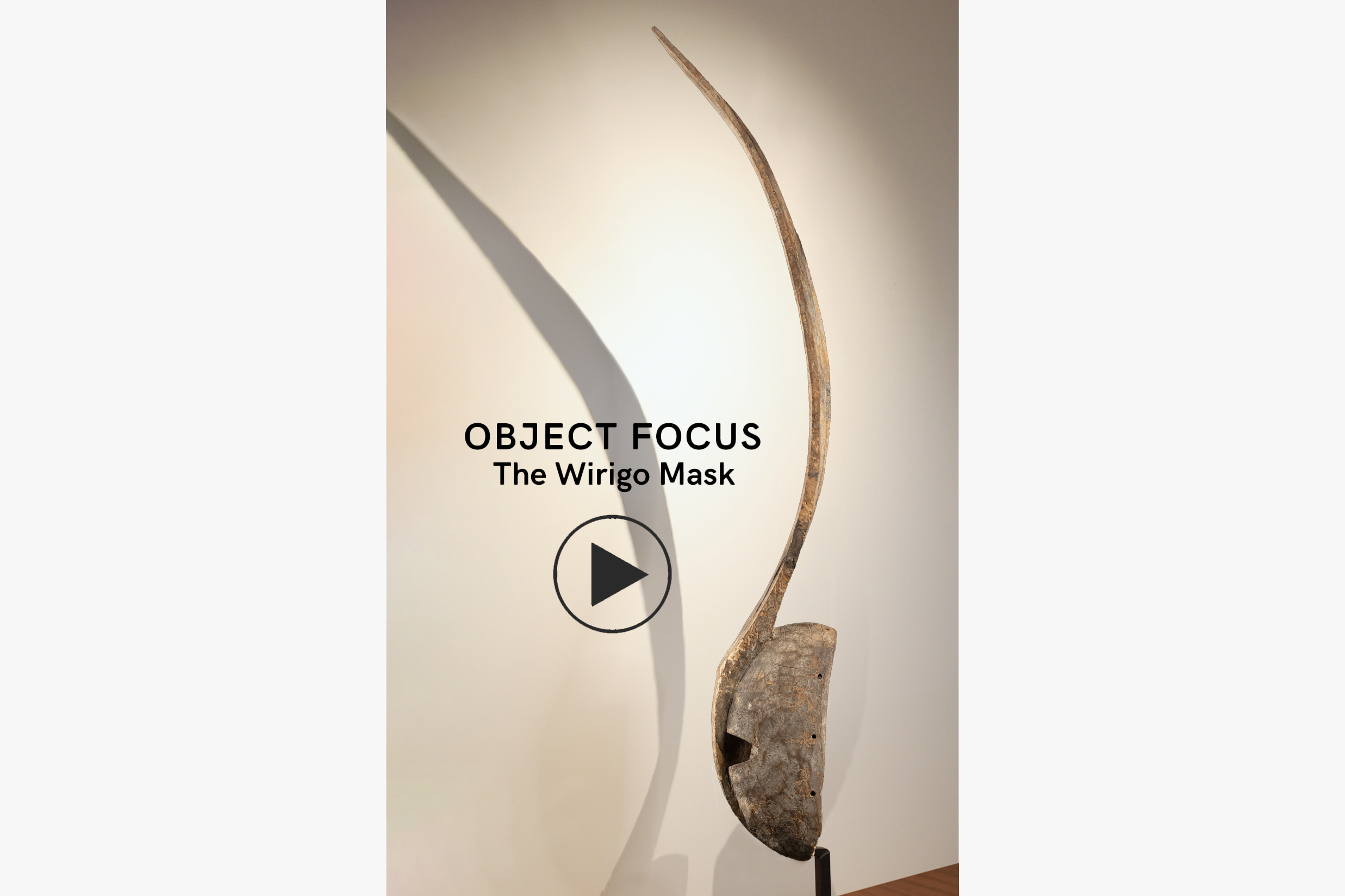 Carton Object Focus Wirigo 2 slider