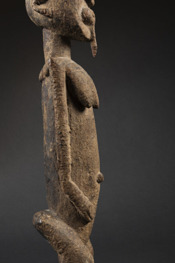 dogon