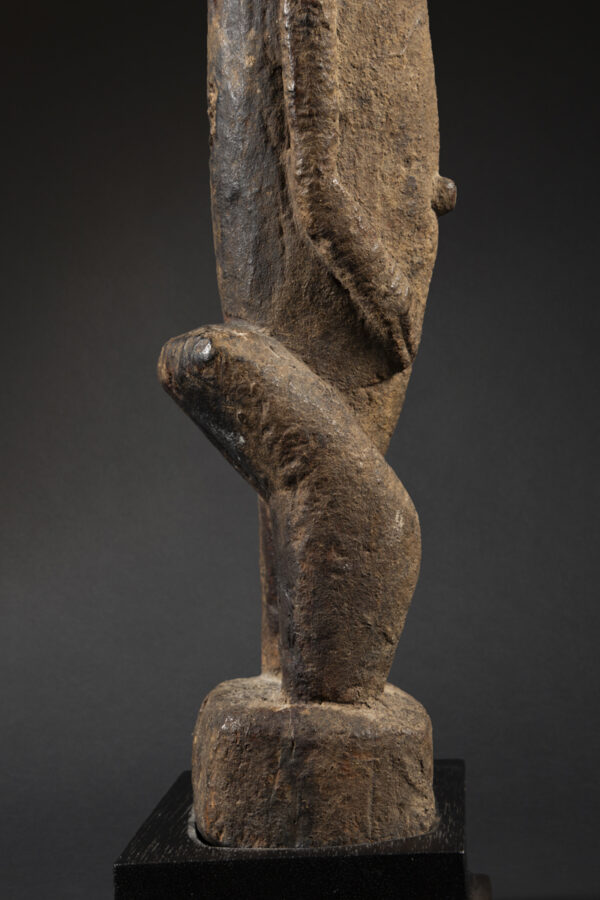 dogon