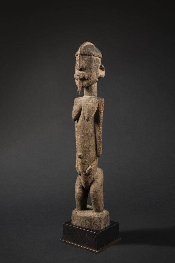 dogon
