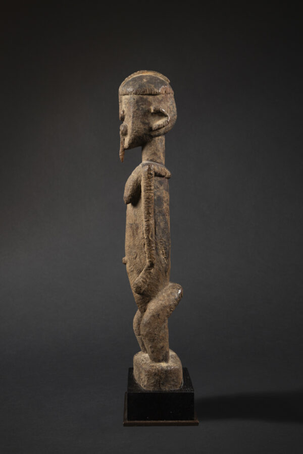 dogon
