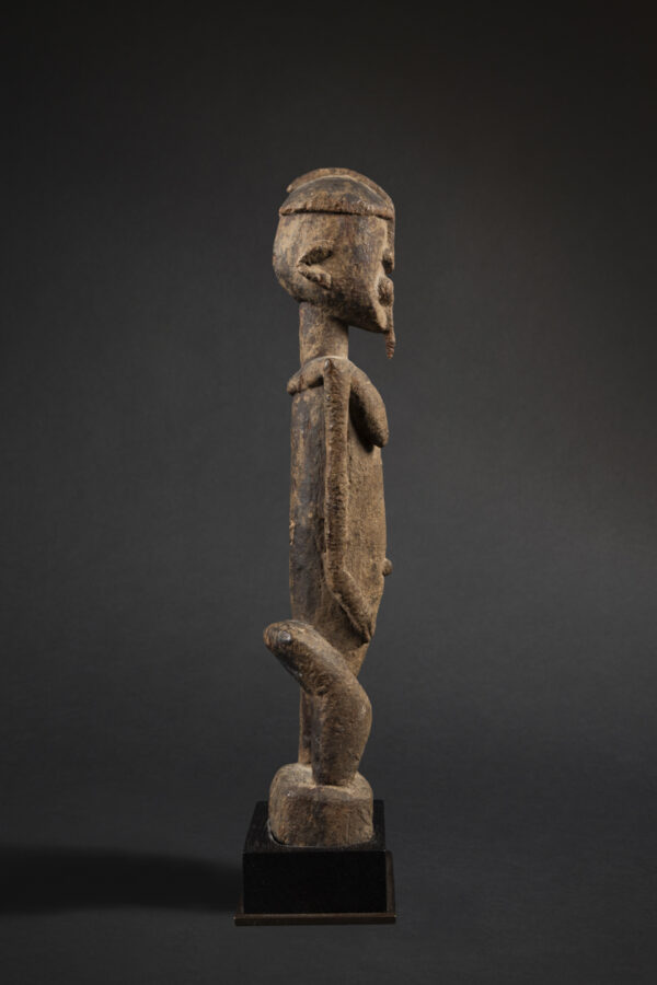 dogon