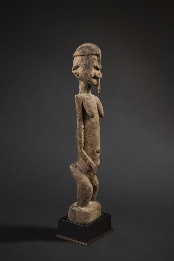 dogon