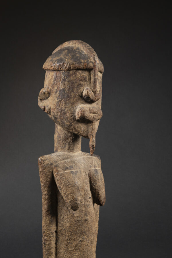dogon