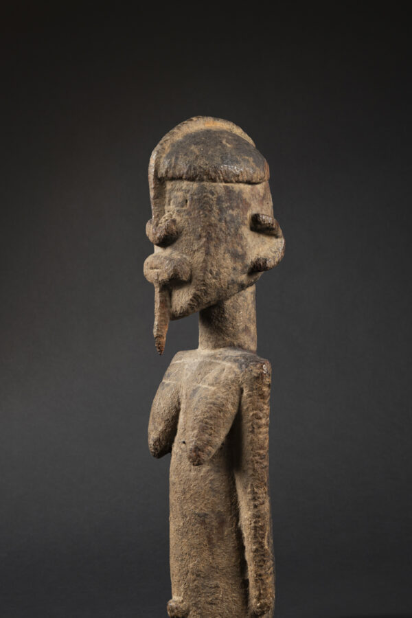 dogon